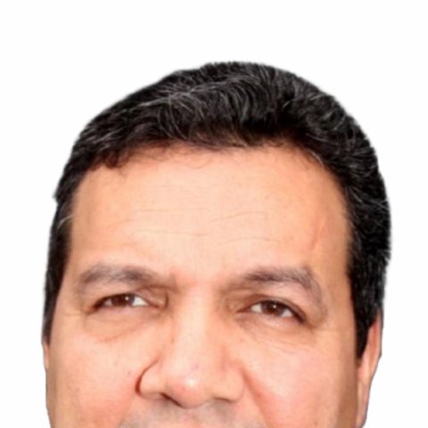 Ing. José Ventura Priego Madrigal